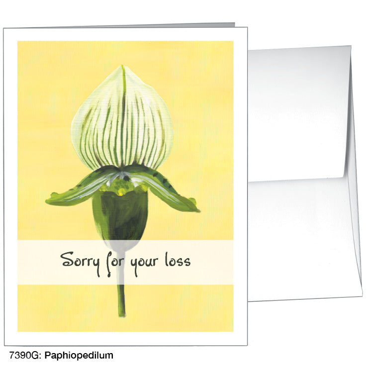 Paphiopedilum, Greeting Card (7390G), A2 Card, printedcanvas.com