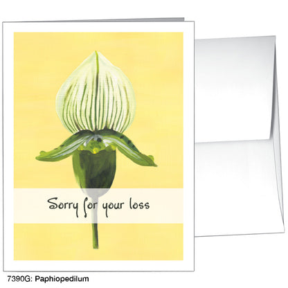Paphiopedilum, Greeting Card (7390G), A2 Card, printedcanvas.com