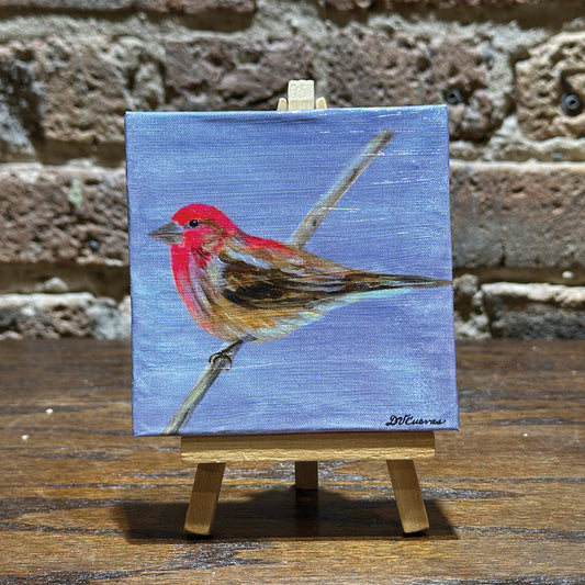 Cassin's Finch, Mini Artwork (MA-8323) - Printed Canvas
