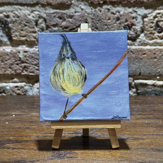 Feather Mohawk, Mini Artwork (MA-8317) - Printed Canvas