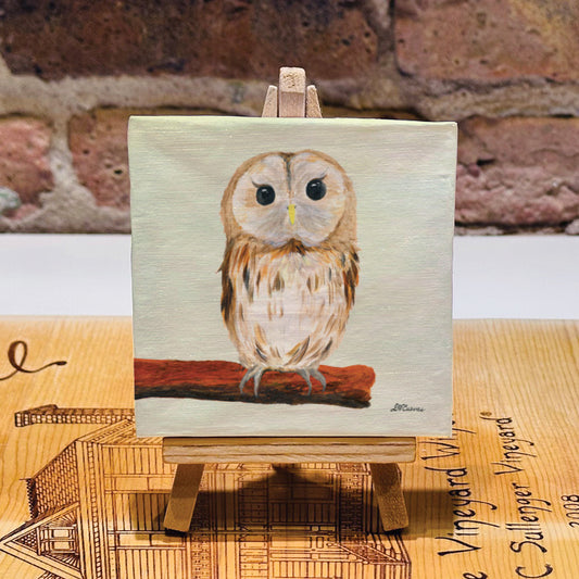 Owl Eyes, Mini Artwork (MA-8040Q) - Printed Canvas