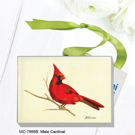 Male Cardinal, Mini Canvas (MC-7866B), Front, printedcanvas.com