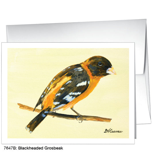 Blackheaded Grosbeak, Greeting Card (7647B), A2, printedcanvas.com