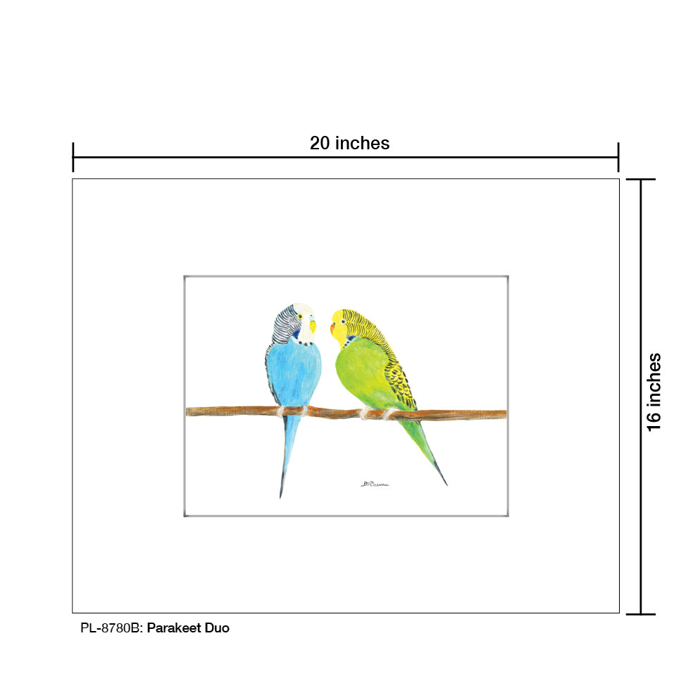 Parakeet Duo, Print (#8780B), Printe Matted, www.printedcanvas.com