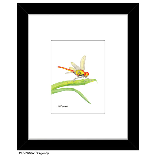 Dragonfly, Print (#7616A), Print Matted, www.printedcanvas.com