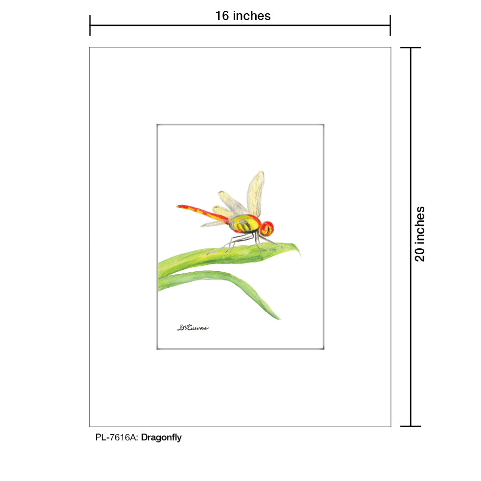 Dragonfly, Print (#7616A), Printe Matted, www.printedcanvas.com