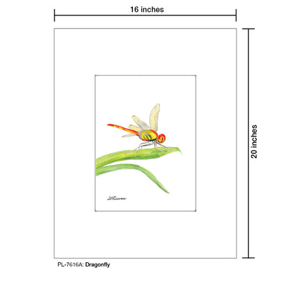 Dragonfly, Print (#7616A), Printe Matted, www.printedcanvas.com