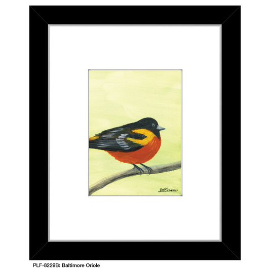 Baltimore Oriole, Print (#8229B) - Printed Canvas