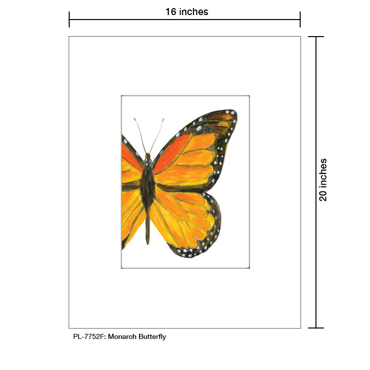 Monarch Butterfly, Print (#7752F) - Printed Canvas