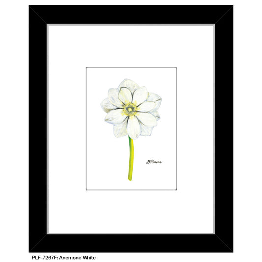 Anemone White, Print (#7267F) - Printed Canvas