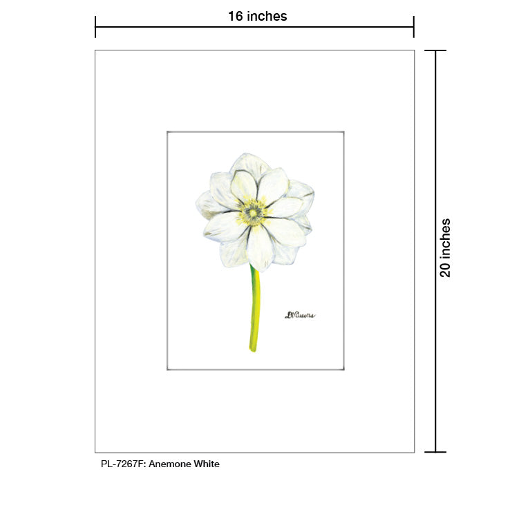 Anemone White, Print (#7267F) - Printed Canvas
