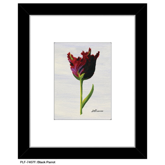 Black Parrot, Print (#7407F) - Printed Canvas