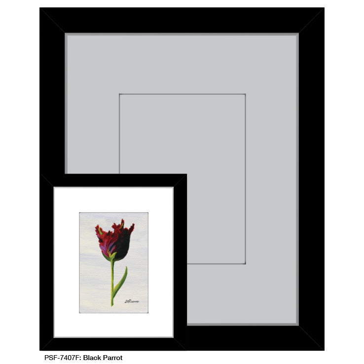 Black Parrot, Print (#7407F), Print Matted, www.printedcanvas.com