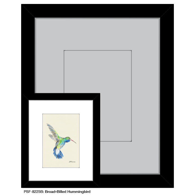 Broad-Billed Hummingbird, Print (#8225B) - Printed Canvas