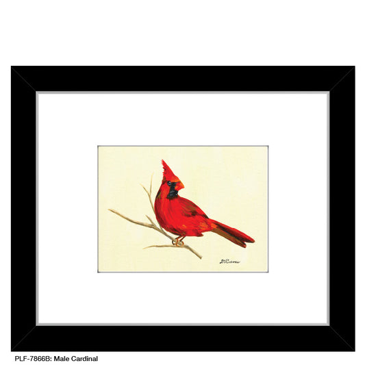 Male Cardinal, Print (#7866B) - Printed Canvas
