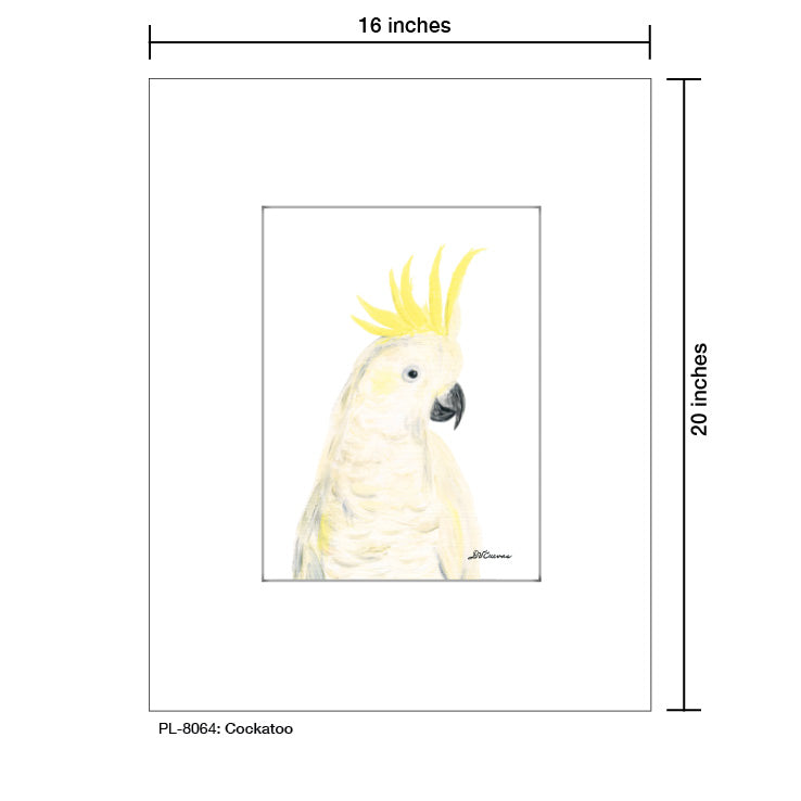 Cockatoo, Print (#8064C), Printe Matted, www.printedcanvas.com
