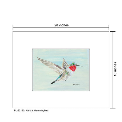 Anna's Hummingbird, Print (#8213C) - Printed Canvas