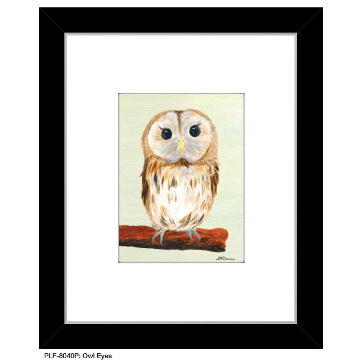 Owl Eyes, Print (#8040P) - Printed Canvas