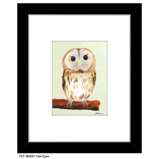 Owl Eyes, Print (#8040P) - Printed Canvas