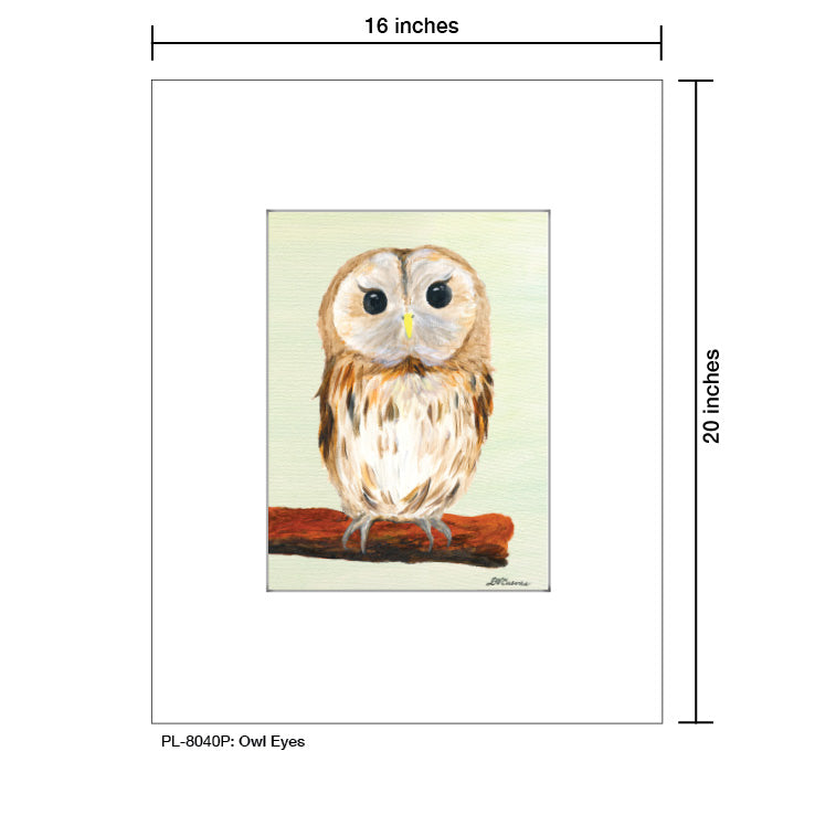 Owl Eyes, Print (#8040P) - Printed Canvas