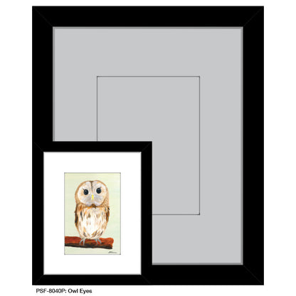 Owl Eyes, Print (#8040P) - Printed Canvas