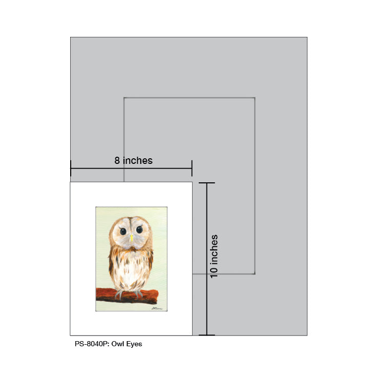Owl Eyes, Print (#8040P) - Printed Canvas