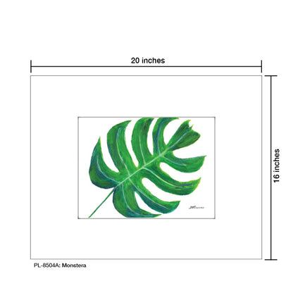 Monstera, Print (#8504A) - Printed Canvas