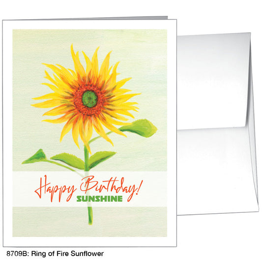 Ring of Fire Sunflower, Greeting Card (8709B)