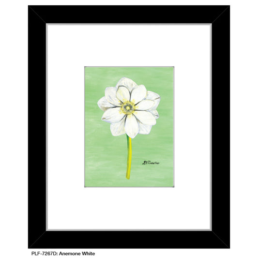 Anemone White, Print (#7267D) - Printed Canvas