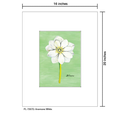Anemone White, Print (#7267D) - Printed Canvas