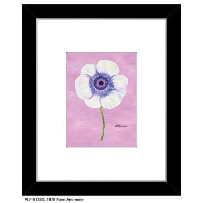 1818 Farm Anemone, Print (#8133G), Print Matted, www.printedcanvas.com