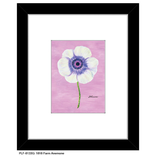 1818 Farm Anemone, Print (#8133G) - Printed Canvas
