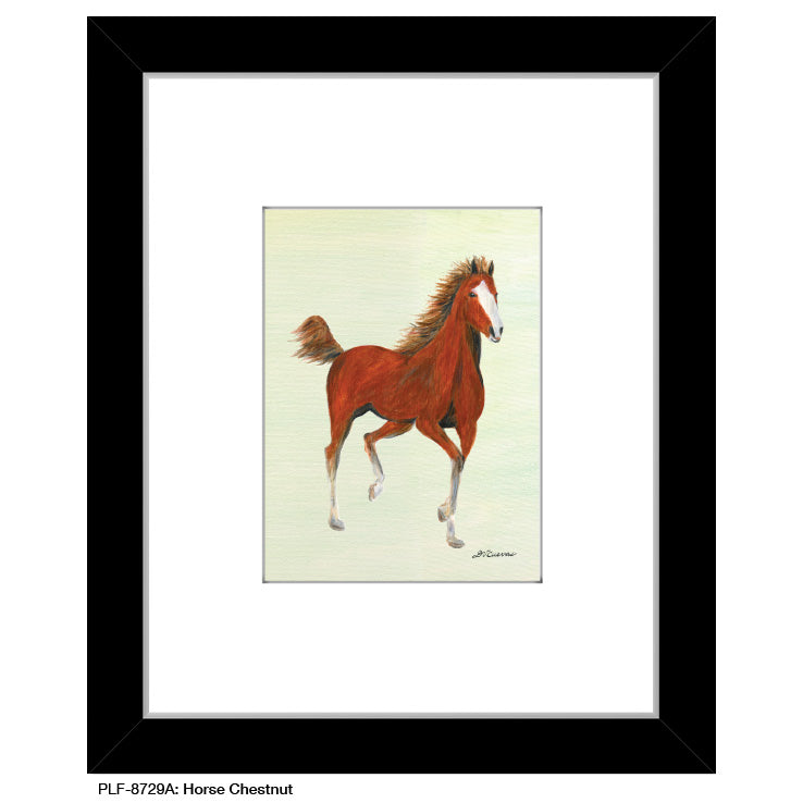 Horse Chestnut, Print (#8729A), Print Matted, www.printedcanvas.com