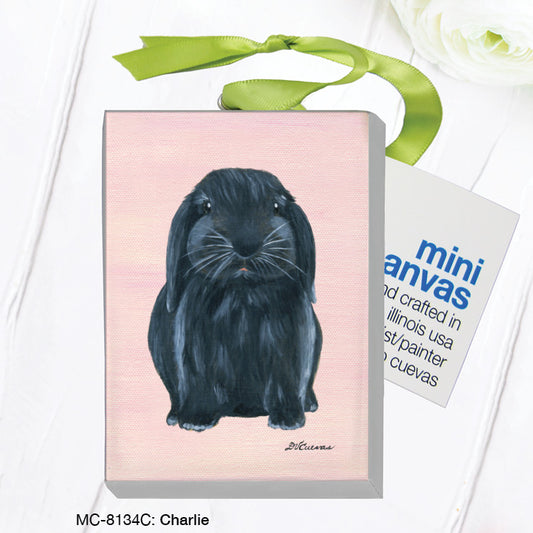 Charlie Bunny, Mini Canvas (MC-8134C), Mini Canvas, www.printedcanvas.com