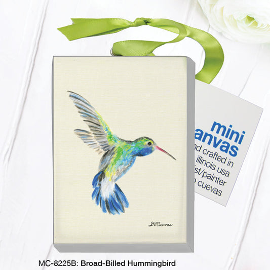 Broad-Billed Hummingbird, Mini Canvas (MC-8225B), Front, printedcanvas.com