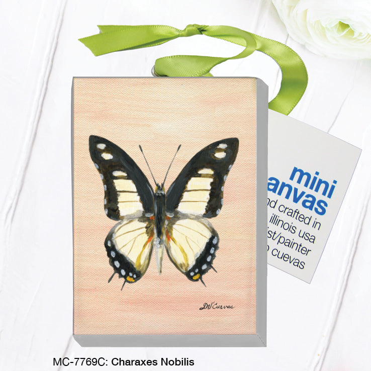 Charaxes Nobilis, Mini Canvas (MC-7769C), Front, printedcanvas.com