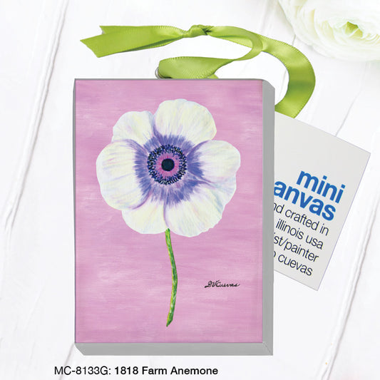 1818 Farm Anemone, Mini Canvas (MC-8133G), Front, printedcanvas.com
