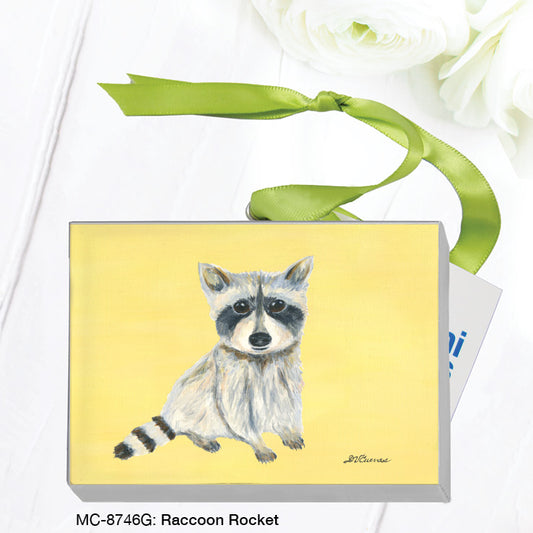 Raccoon Rocket, Mini Canvas  (MC-8746G), Front, printedcanvas.com