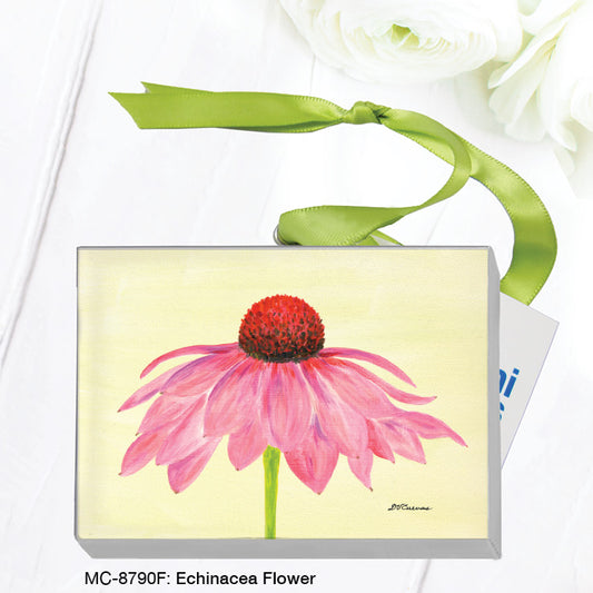 Echinacea Flower, Mini Canvas (MC-8790F), Front, printedcanvas.com