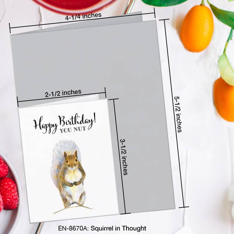 Squirrel in Thought, Greeting Card (8670A), Enclosure, www.printedcanvas.com