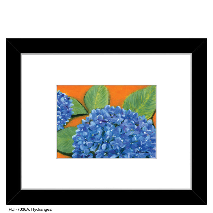 Hydrangea, Print (#7036A) - Printed Canvas