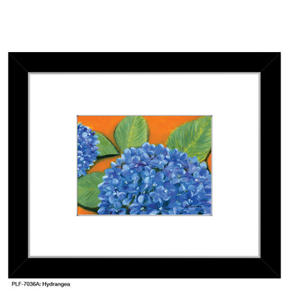 Hydrangea, Print (#7036A) - Printed Canvas