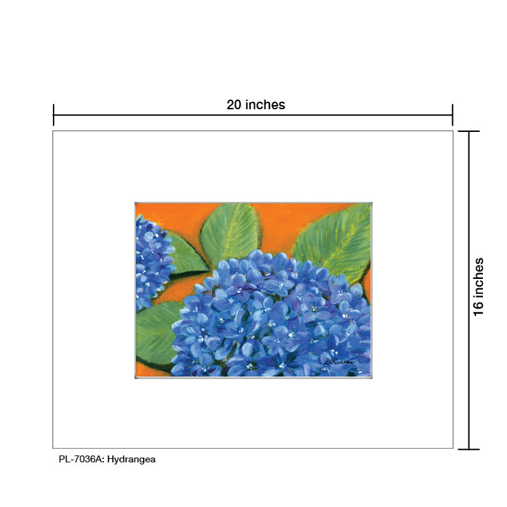 Hydrangea, Print (#7036A) - Printed Canvas