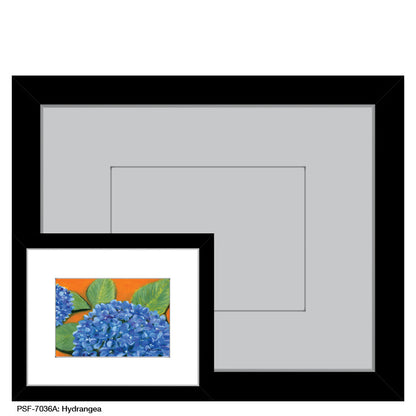 Hydrangea, Print (#7036A) - Printed Canvas