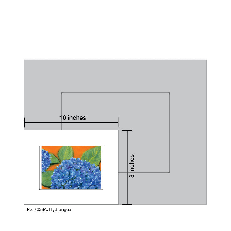 Hydrangea, Print (#7036A) - Printed Canvas