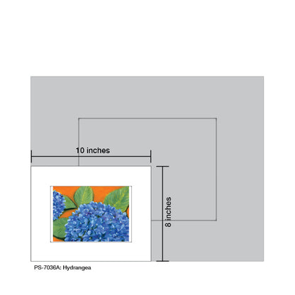 Hydrangea, Print (#7036A) - Printed Canvas