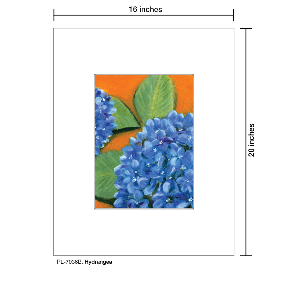 Hydrangea, Print (#7036B)