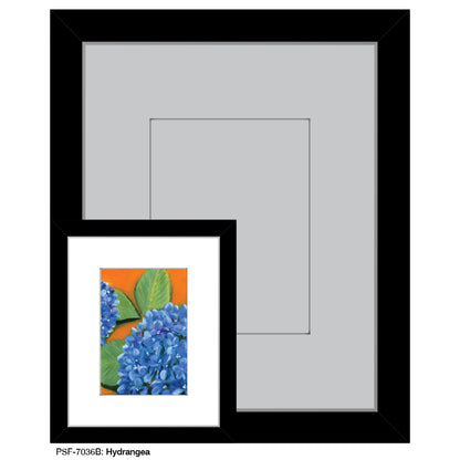 Hydrangea, Print (#7036B)