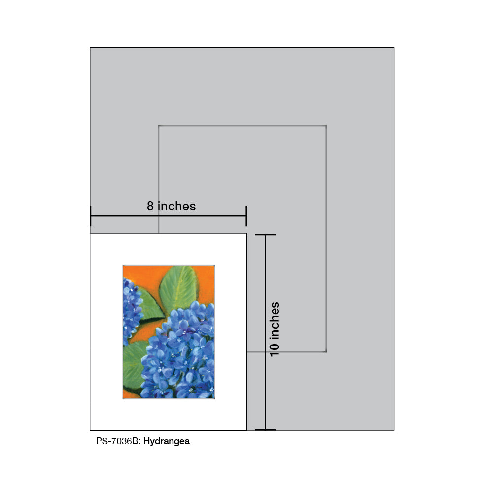 Hydrangea, Print (#7036B)