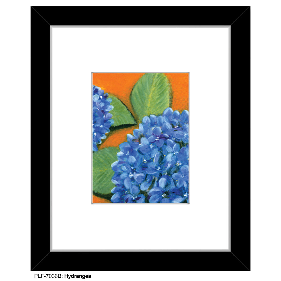 Hydrangea, Print (#7036B)